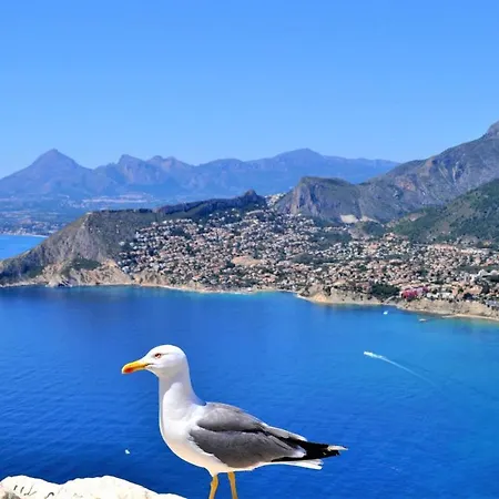 Vila Maryvilla 1056 Calpe